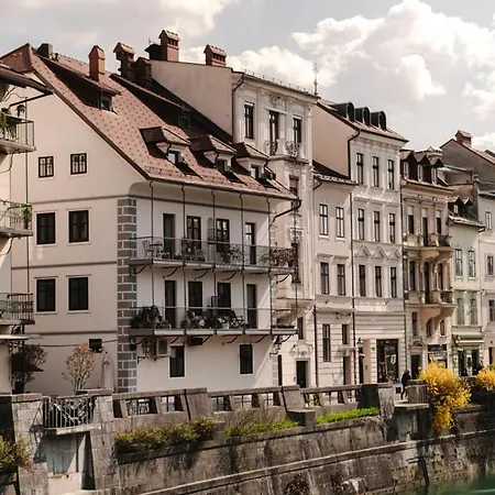Charming Romeo * Ljubljana